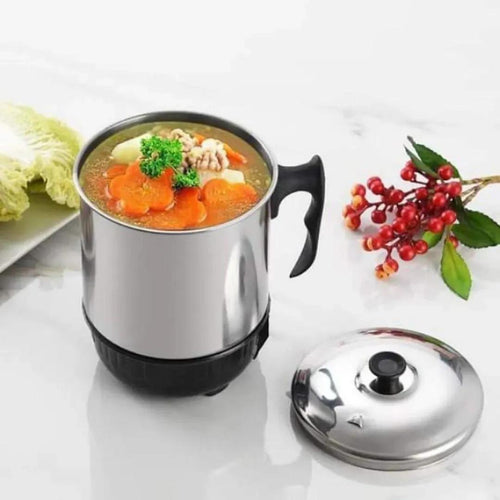 Fast Heating Electric Kettle